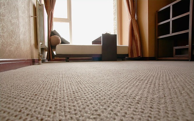 5 Tips To Protect Your Carpets From Damage